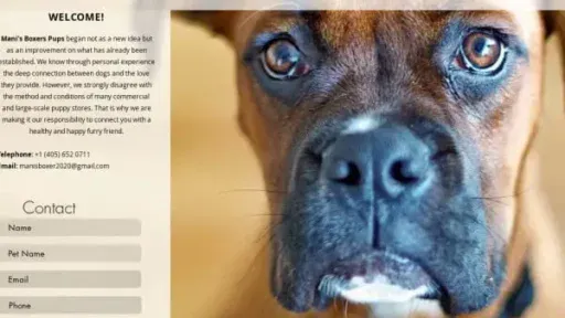 Screenshot of