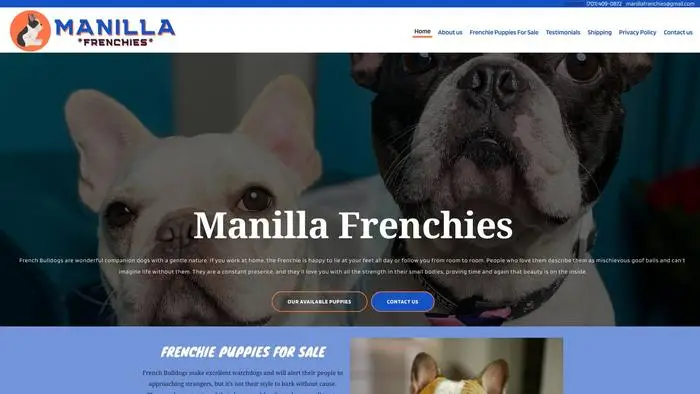 Screenshot of