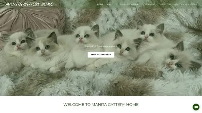 Screenshot of