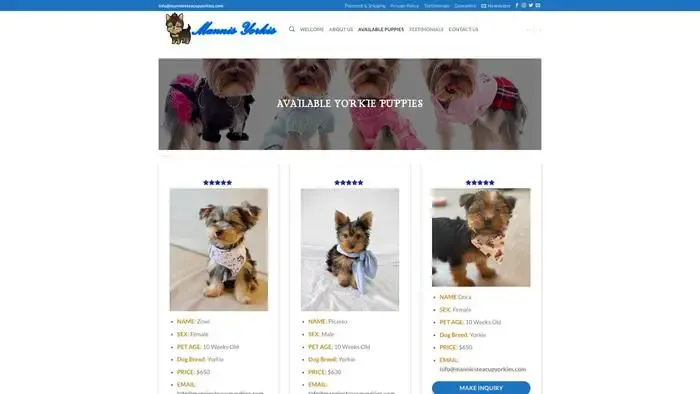 Screenshot of