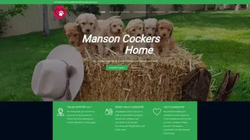Screenshot of