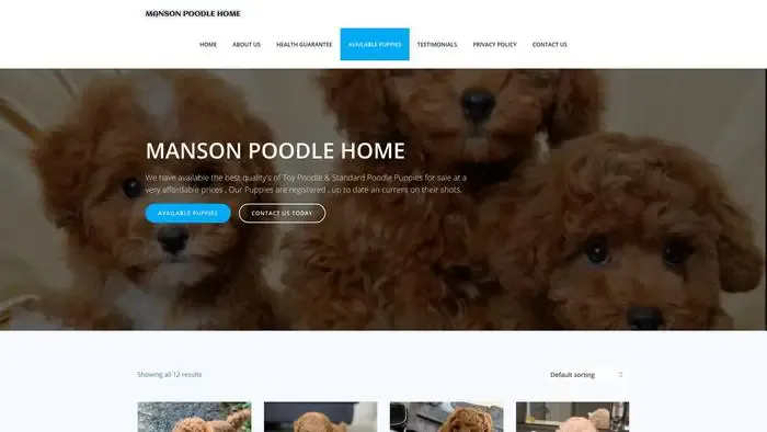 Screenshot of