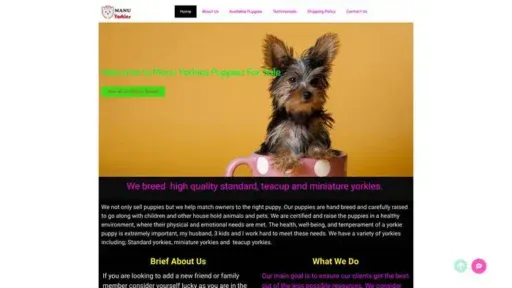 Screenshot of