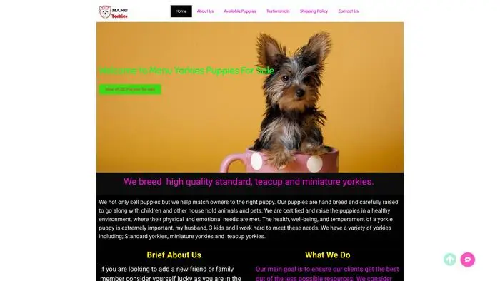 Screenshot of