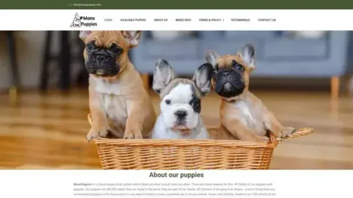 Screenshot of