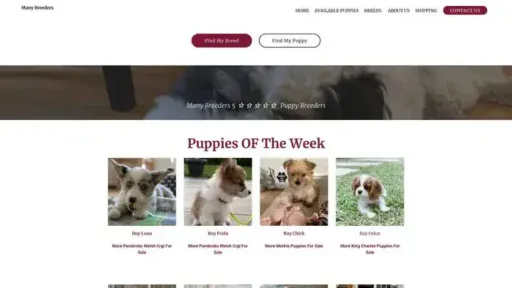 Screenshot of