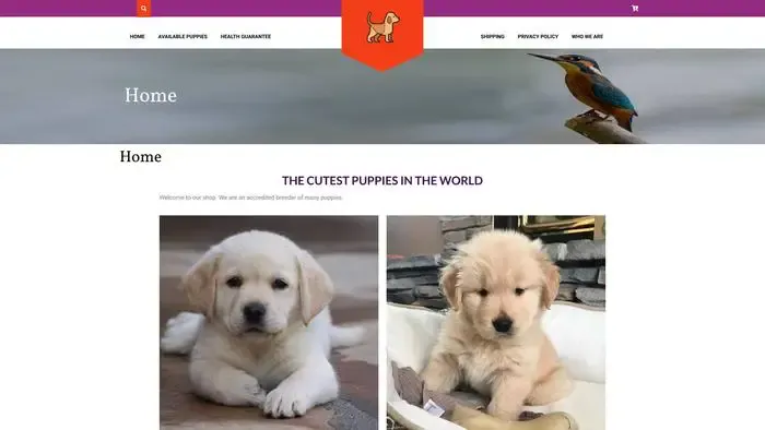 Screenshot of