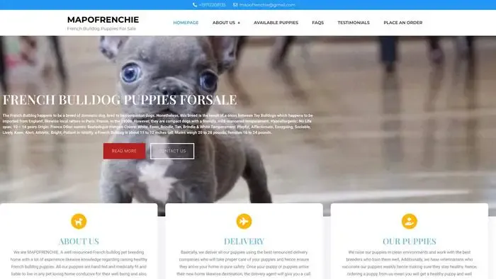 Screenshot of