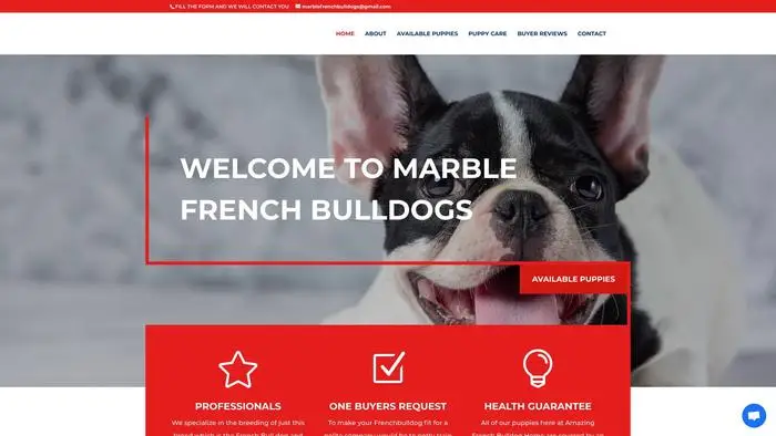 Screenshot of