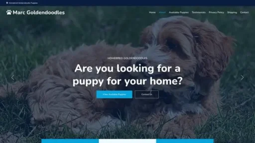 Screenshot of