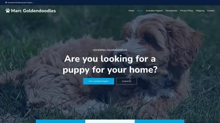 Screenshot of