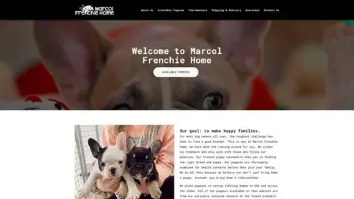Screenshot of