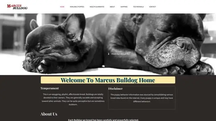 Screenshot of