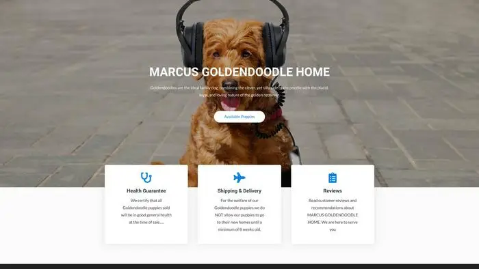Screenshot of