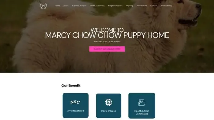 Screenshot of