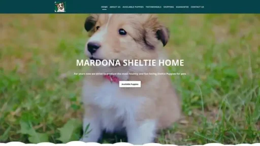 Screenshot of