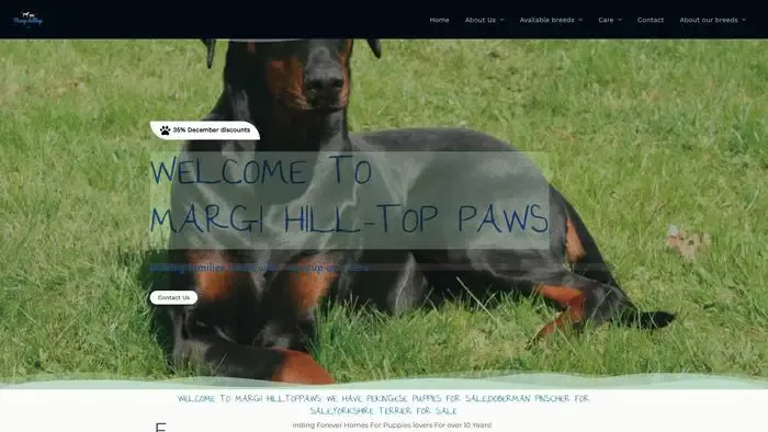 Screenshot of