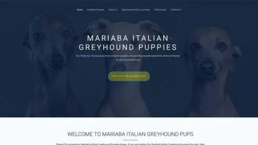 Screenshot of