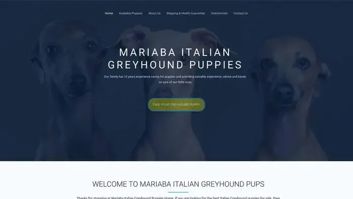 Screenshot of