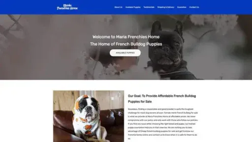 Screenshot of