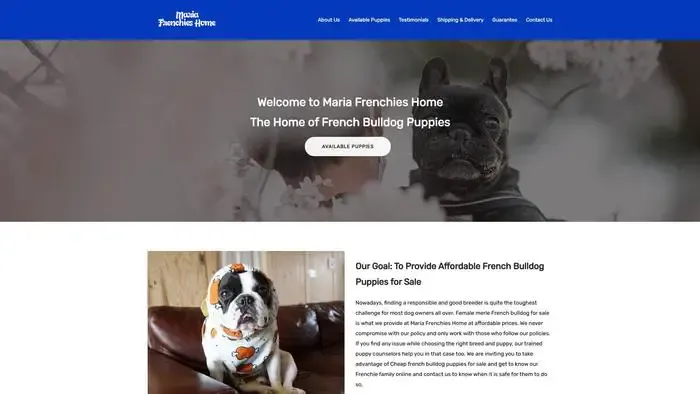 Screenshot of
