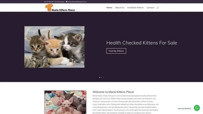 Screenshot of