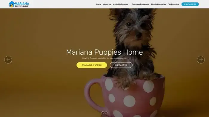 Screenshot of