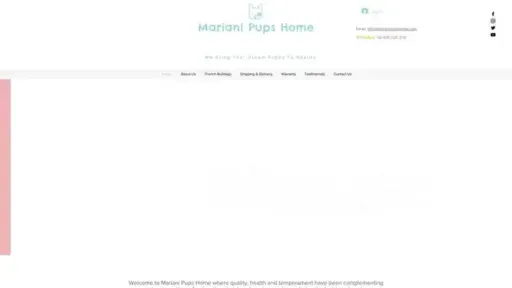 Screenshot of