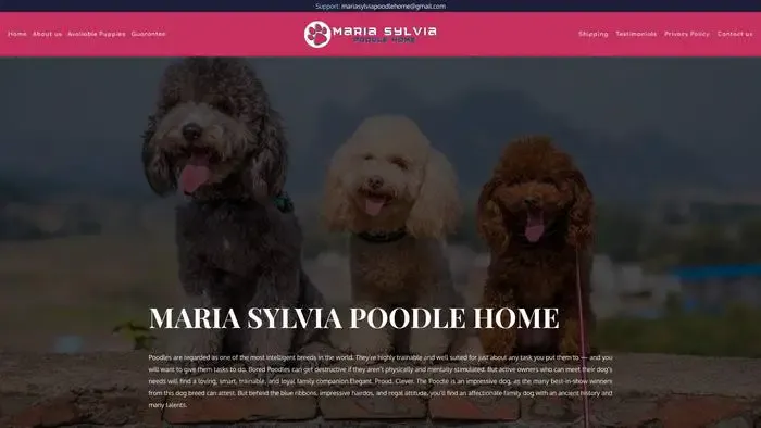Screenshot of