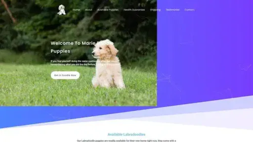 Screenshot of