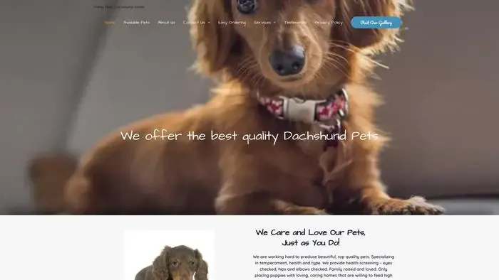 Screenshot of