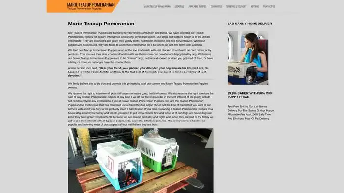 Screenshot of