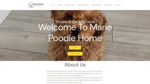 Screenshot of