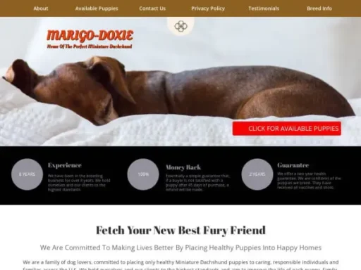 Screenshot of