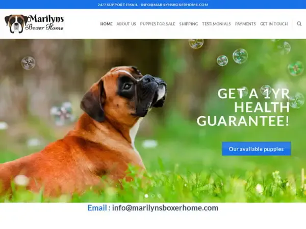 Screenshot of