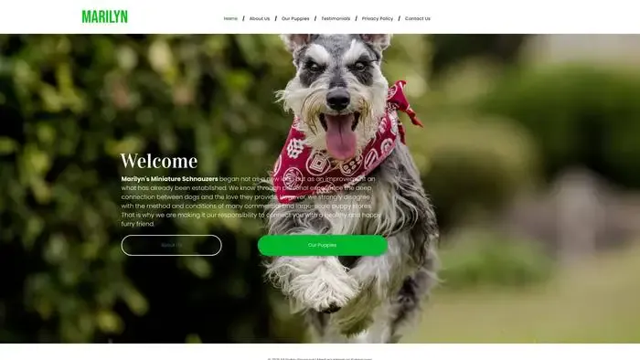 Screenshot of