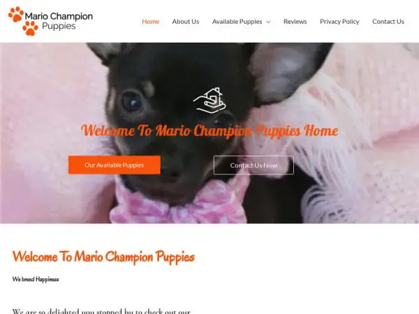 Screenshot of