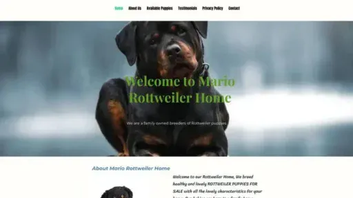 Screenshot of