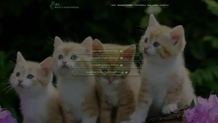 Screenshot of