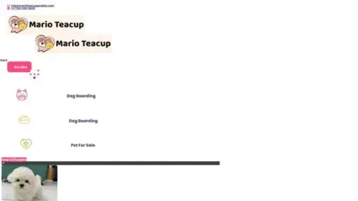 Screenshot of