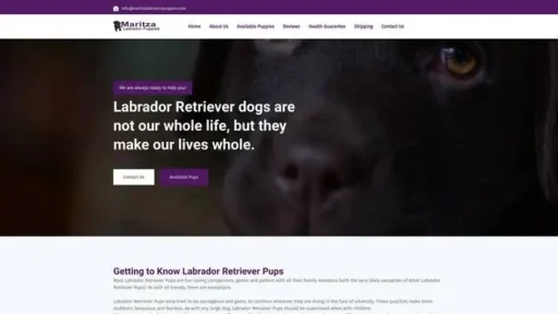 Screenshot of