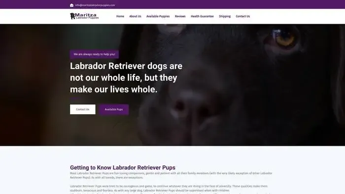 Screenshot of