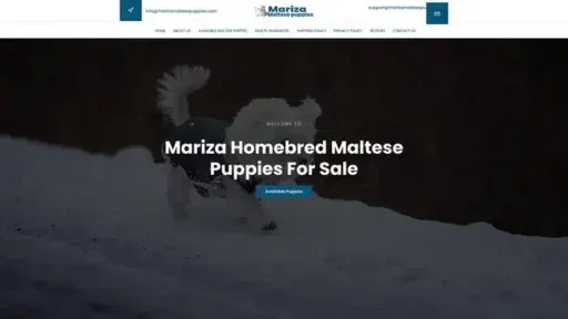 Screenshot of
