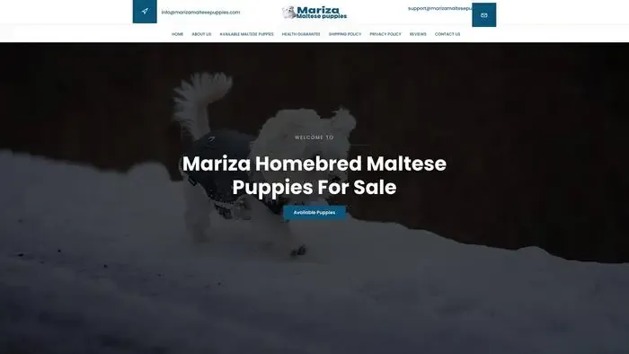 Screenshot of