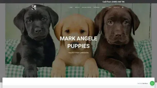 Screenshot of