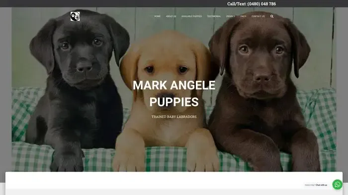 Screenshot of