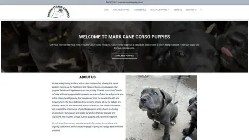 Screenshot of