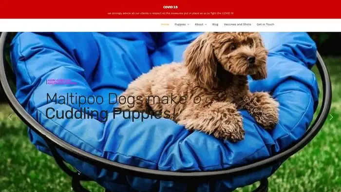 Screenshot of