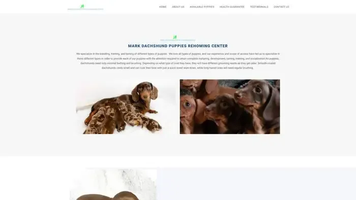 Screenshot of