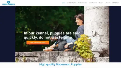 Screenshot of